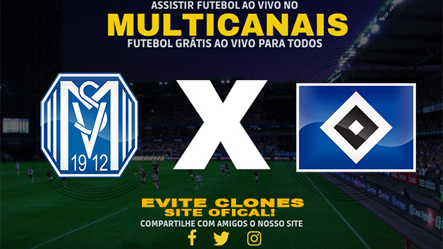 Assistir SV Meppen x Hamburger AO VIVO Online 18/08/2024